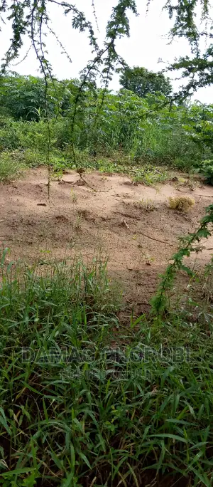 Farm for Sale Location Morogoro