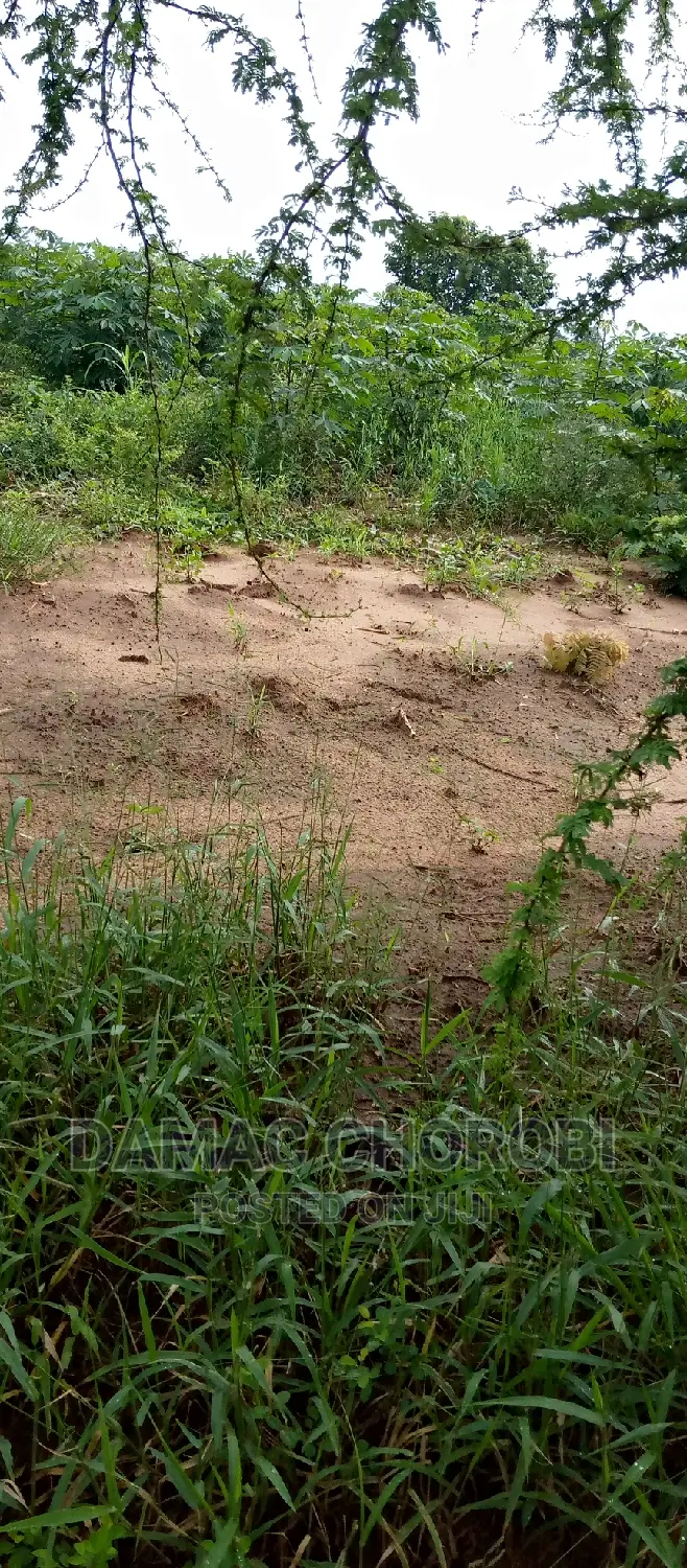 Farm for Sale Location Morogoro