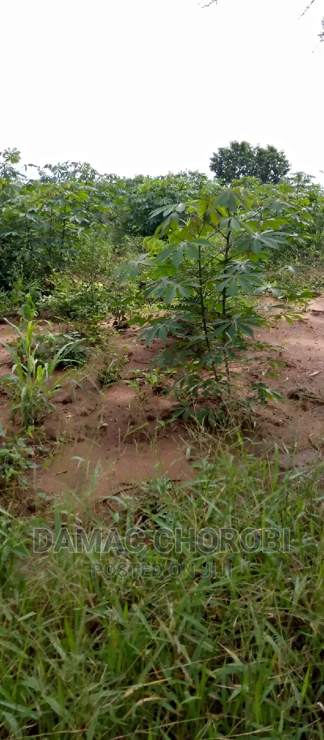 Farm for Sale Location Morogoro