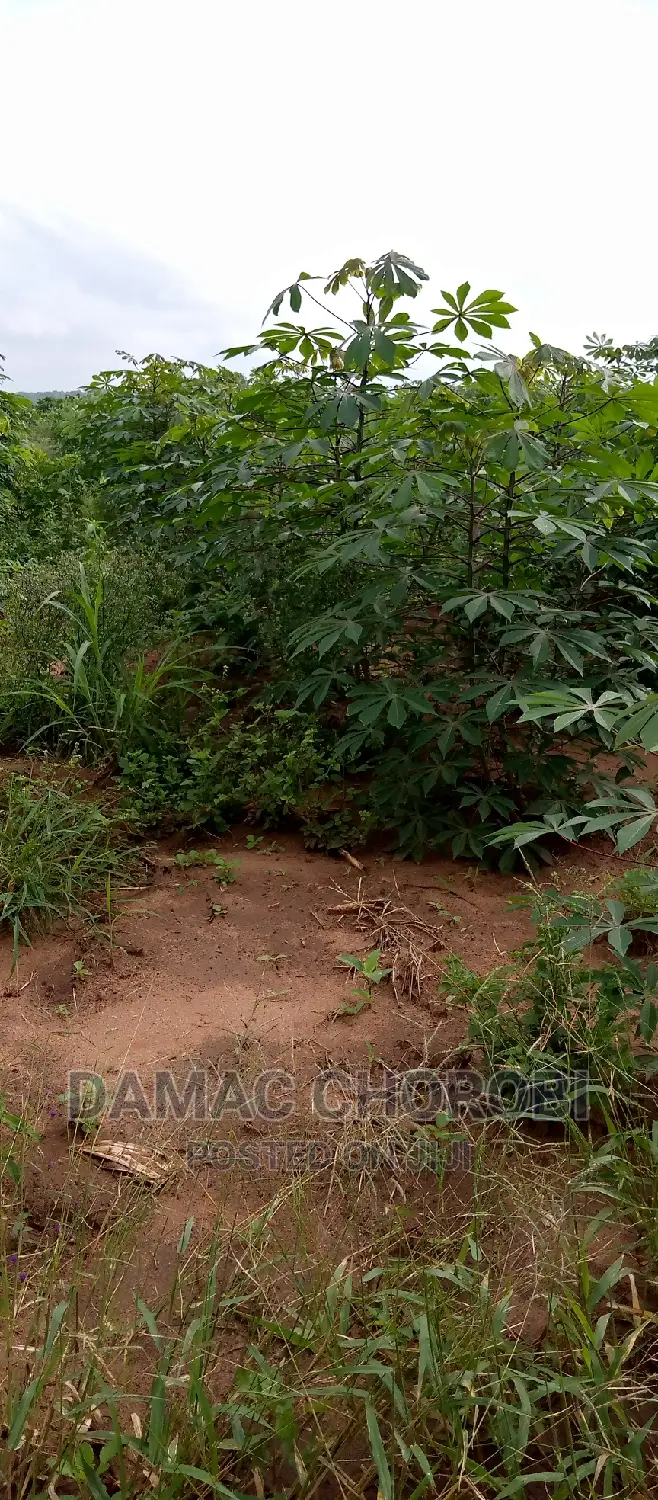 Farm for Sale Location Morogoro