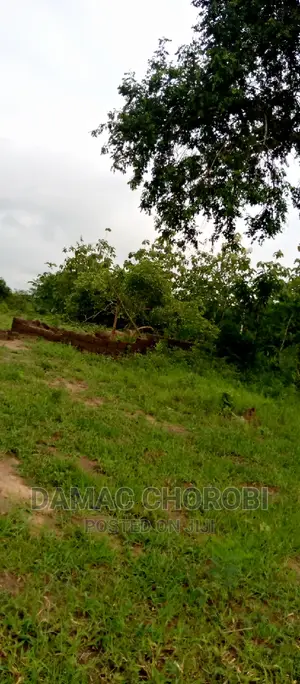 Farm Acre 3500 for Sale Locton Tanga