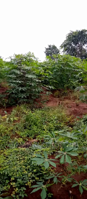 Farm Acre 3500 for Sale Locton Tanga