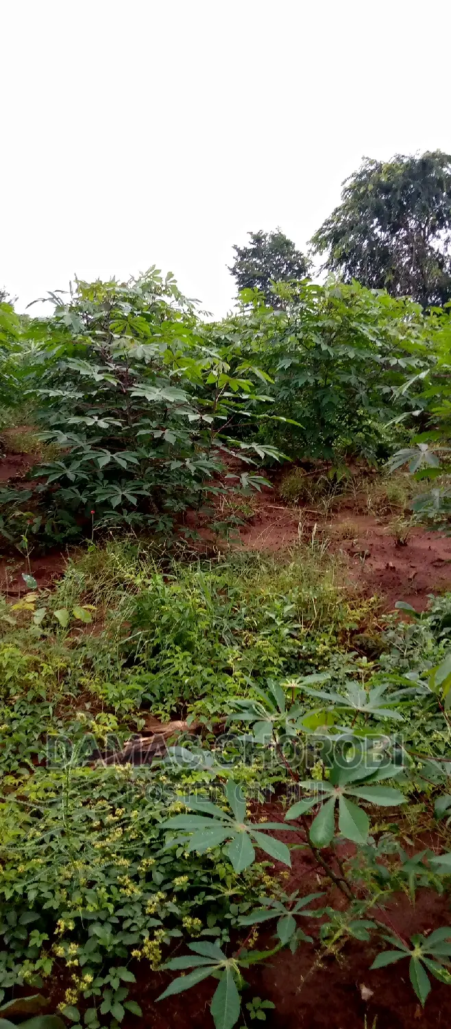Farm Acre 3500 for Sale Locton Tanga