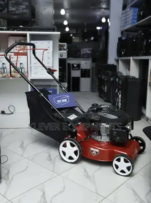 Lawn Mower PM4101