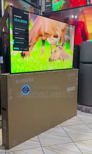 Samsung Tv Inch55