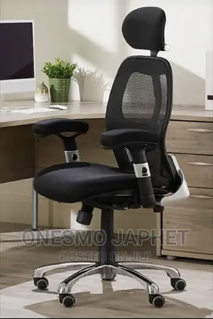 Egonomic Chair