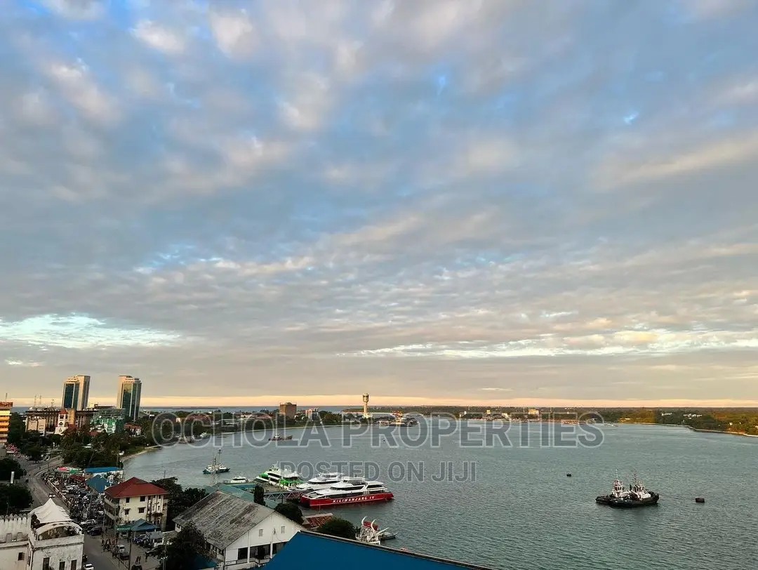 Furnished 3bdrm Apartment in Upanga East for rent