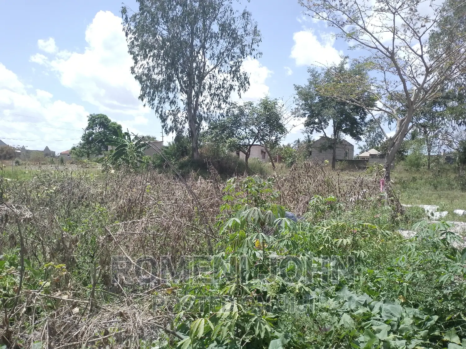 Eneo La Kibiashara Na Makazi Linauzwa Milioni 55 Heka Moja.