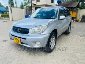 Toyota RAV4 2005 Silver