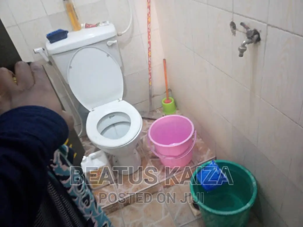 3bdrm Apartment in Kariakoo Mkunguni for rent