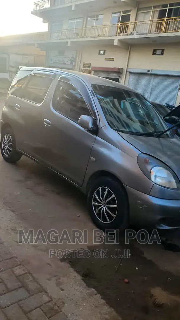 Toyota Fun Cargo 2002 Brown