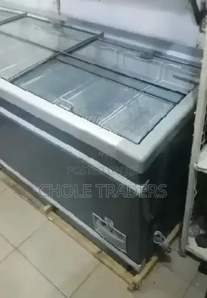 Commercial Large Freezer (1000 Liters)