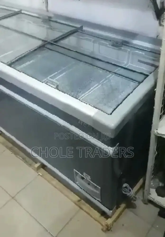 Commercial Large Freezer (1000 Liters)