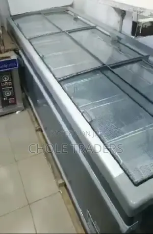 Commercial Large Freezer (1000 Liters)