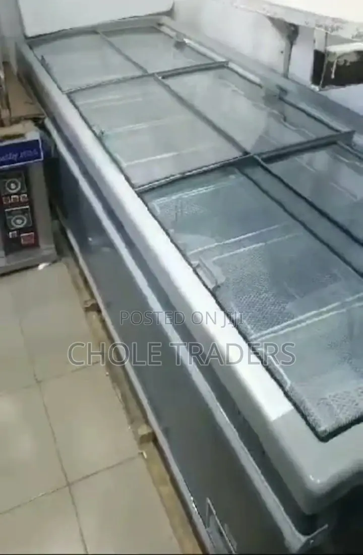 Commercial Large Freezer (1000 Liters)