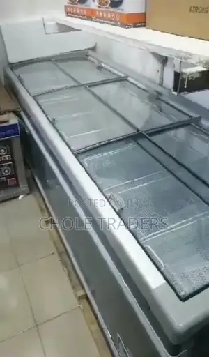 Commercial Large Freezer (1000 Liters)