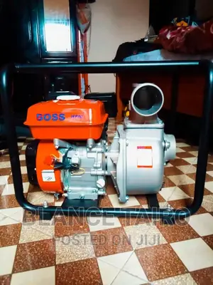 Boss Water Pump