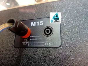 EVP Professional Audio Speaker Stage Monitor15 Inch