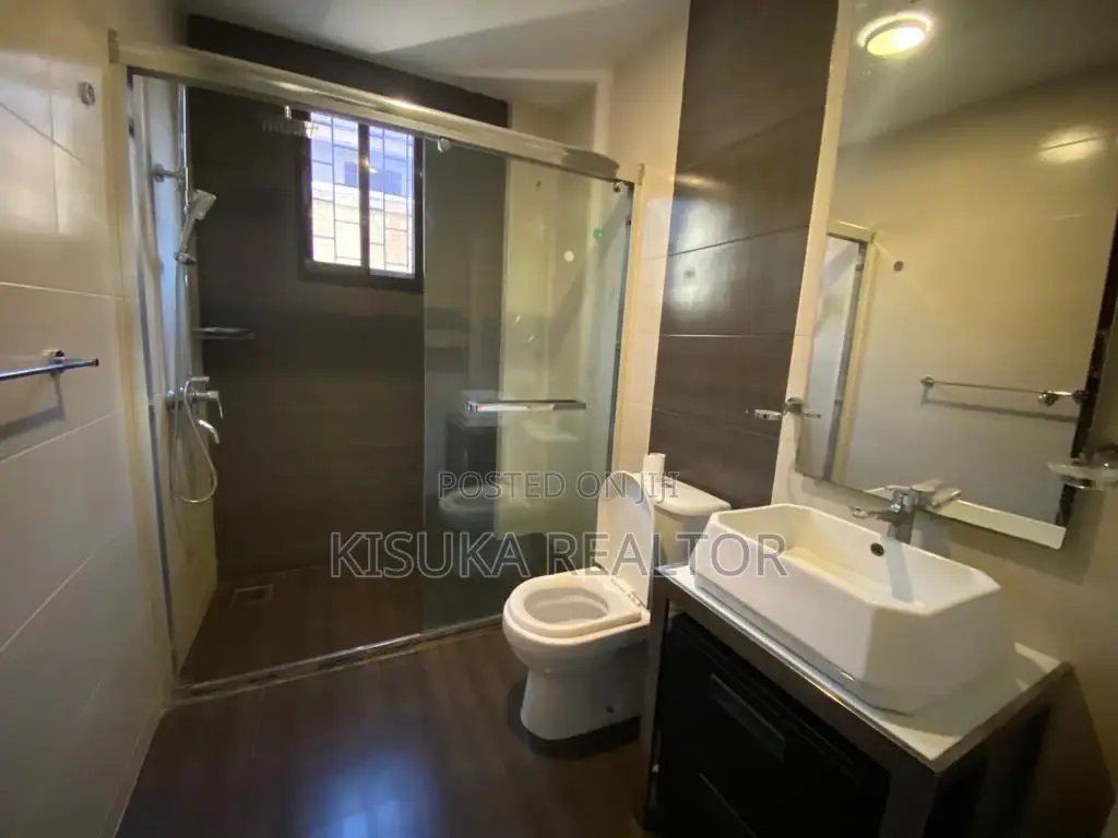 Furnished 3bdrm Apartment in Masaki for rent