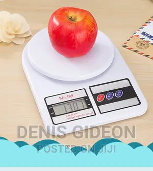Portable Weight Scale