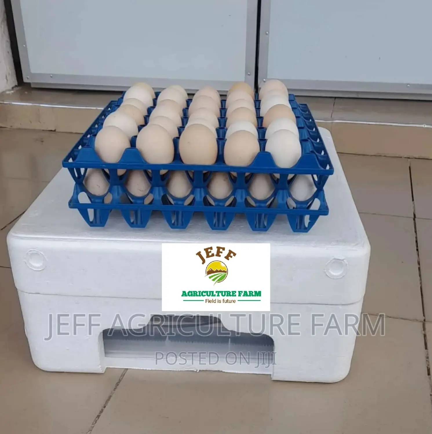 Automatically Incubator Machine