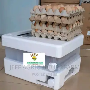Automatically Incubator Machine