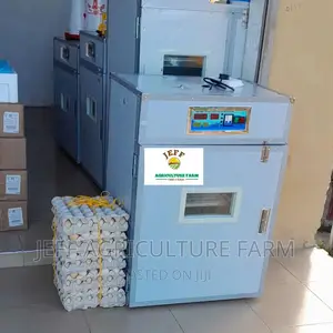 Automatically Incubator Machine
