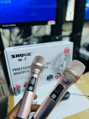 SHUGE PROFESSIONAL Wireless Microphone