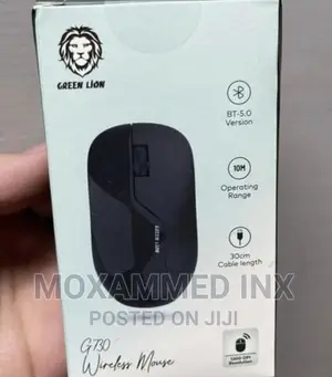 2 in 1 Wireless Mouse G730