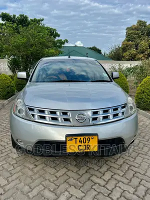 Nissan Murano 2004 Silver