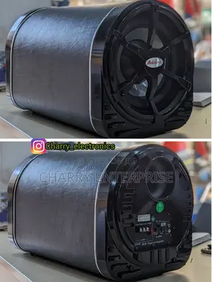 Powerful AILIANG Car Radio Amplifier * Super Bass