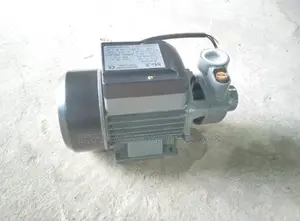 Water Pump 0.5hp