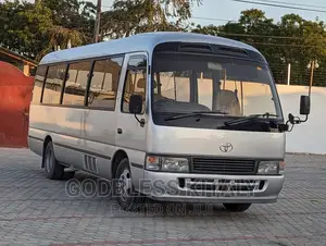 Toyota Coaster 2002 Grey