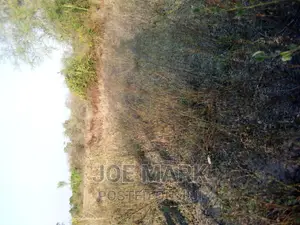Shamba Linauzwa Chalinze
