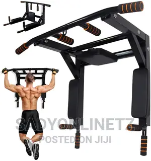 Wall Mounted Pull Up Bar