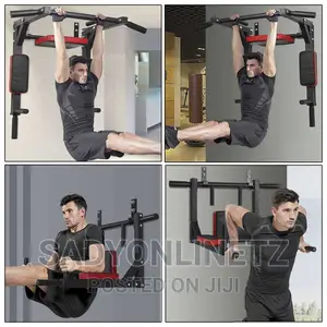 Wall Pull Up Bar