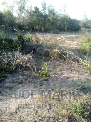 Shamba Linauzwa Chalinze