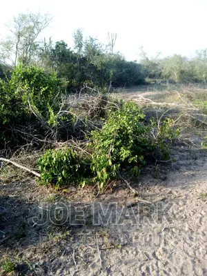 Shamba Linauzwa Chalinze