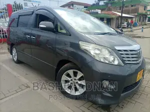 Toyota Alphard 2009 Gray