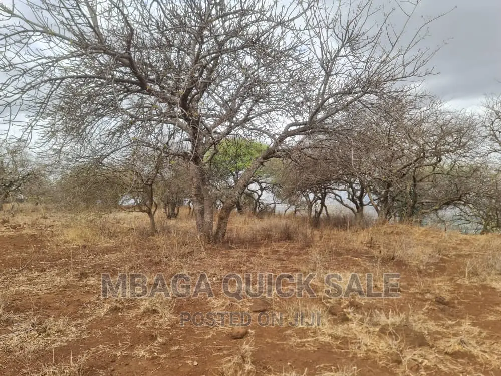 Plot for Sale at Manyara, Located at Tarangile National Par