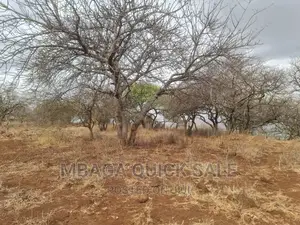Plot for Sale at Manyara, Located at Tarangile National Par