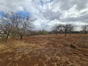 Plot for Sale at Manyara, Located at Tarangile National Par