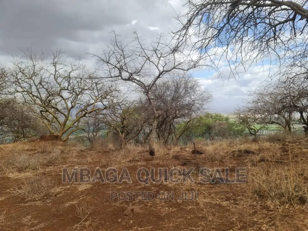 Plot for Sale at Manyara, Located at Tarangile National Par