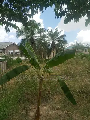 Plot for Sale at Mbezi Mwisho Mpiji