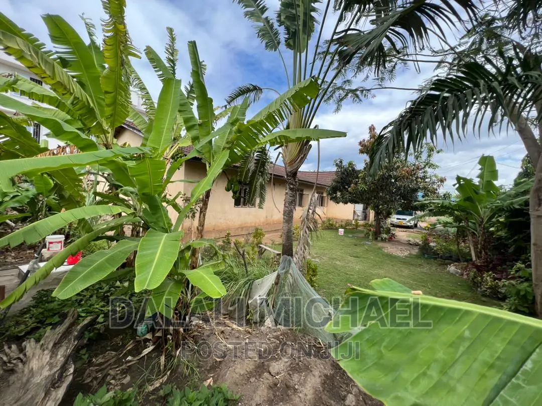 Corner Plot for Sale Mbezibeach *