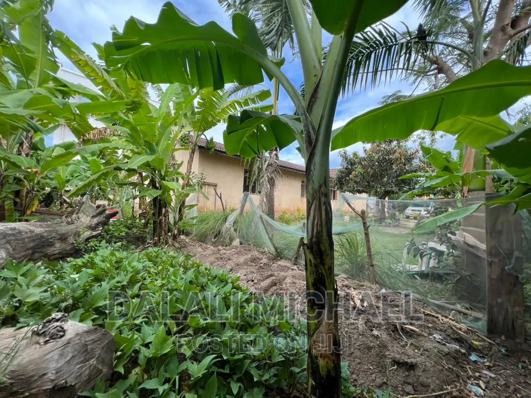 Corner Plot for Sale Mbezibeach *