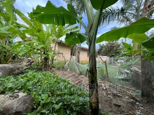 Corner Plot for Sale Mbezibeach *