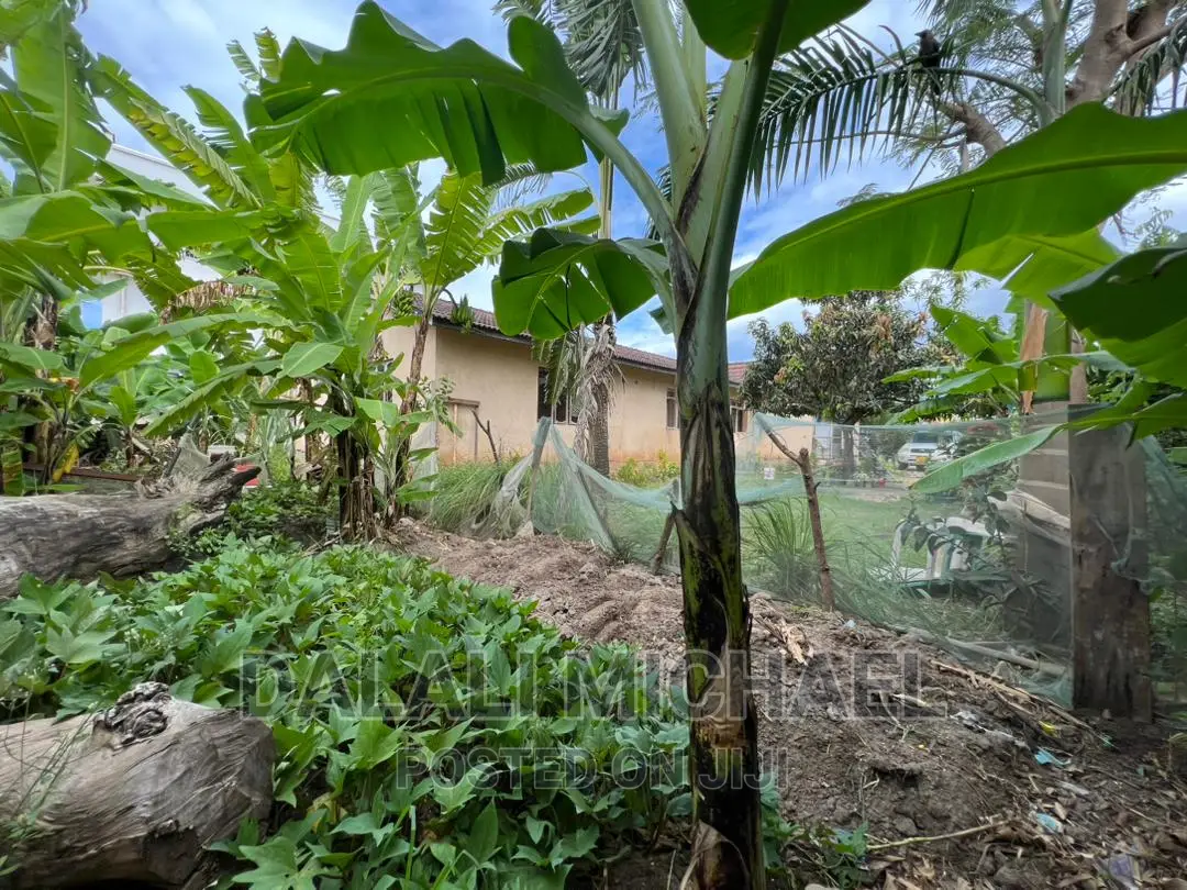 Corner Plot for Sale Mbezibeach *