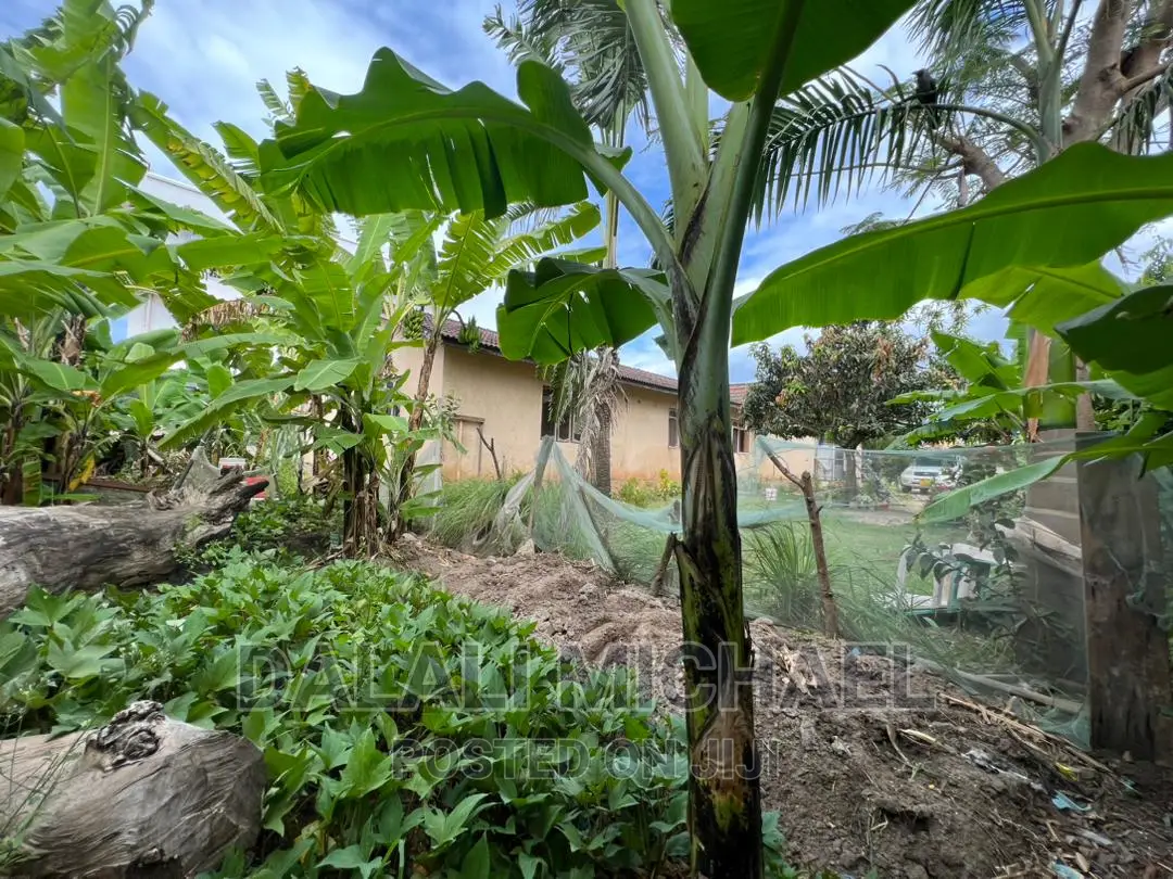 Corner Plot for Sale Mbezibeach *
