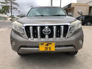 Toyota Land Cruiser Prado 2014 Gray